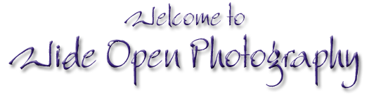 Welcome to Wide Open Photography