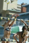 avp_manhattan_08-07-03_09.18.37_E82C8772