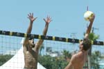 avp_manhattan_08-07-03_14.40.41_E82C9290