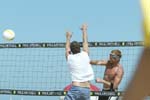 avp_manhattan_08-08-03_10.45.35_E82C9756