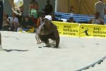 avp_manhattan_08-08-03_13.51.32_E82C0003
