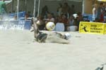 avp_manhattan_08-08-03_14.05.27_E82C0046