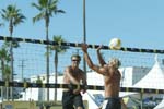 avp_manhattan_08-08-03_16.28.37_E82C0188