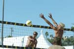 avp_manhattan_08-08-03_16.37.59_E82C0217