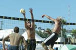 avp_manhattan_08-08-03_16.38.26_E82C0219