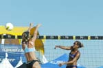 avp_manhattan_08-09-03_09.30.27_E82C0541